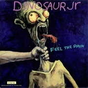 Dinosaur, Jr. - Feel the Pain