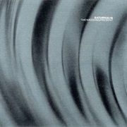 The Wedding Present - Saturnalia