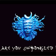 Shpongle - Are You Shpongled?