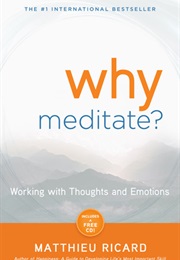 Why Meditate? (Matthieu Ricard)