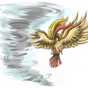 Enemy Pokemon Used Whirlwind