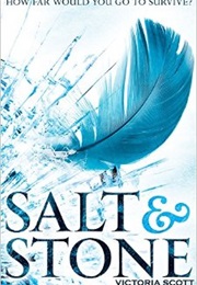 Salt &amp; Stone (Victoria Scott)