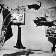 Salvador Dali&#39;s Cats