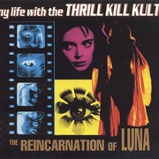 My Life With the Thrill Kill Kult — the Reincarnation of Luna