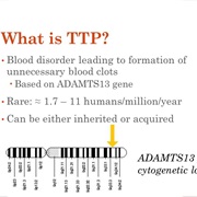 Thrombocytopenic Purpura (TTP)