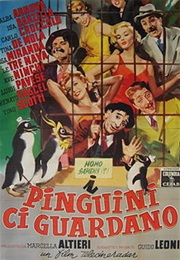 I Pinguini Ci Guardano (1956)