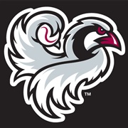 Idaho Falls Chukars (R)