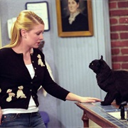 Salem &amp; Sabrina (Sabrina the Teenage Witch)