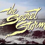 The Secret Storm