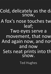 Snow (Ted Hughes)