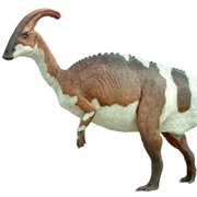 Parasaurolophus