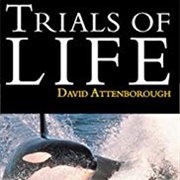 The Trials of Life