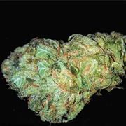 Durban Poison