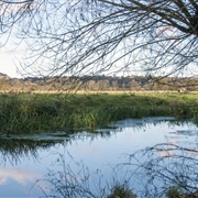 Maidenhead and Cookham Commons