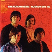 The Human Beinz - Nobody but Me (1968)