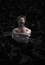 The Wolverine 2 (2017)