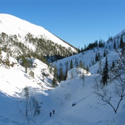 Pyhä-Luosto National Park