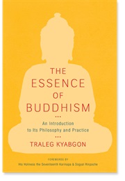 The Essence of Buddhism (Traleg Kyabgon)