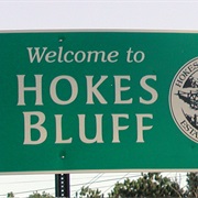 Hokes Bluff, Alabama