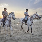 Bahrain by Horseback