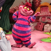 Cheshire Cat