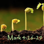 Parable of the Growing Seed