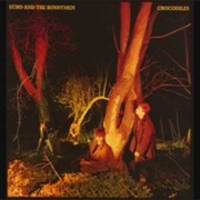 Monkeys - Echo &amp; the Bunnymen