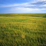 Grassland Climate (Prairie)