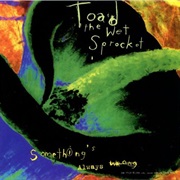 Toad the Wet Sprocket - Something&#39;s Always Wrong