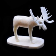 Inuit Ivory Moose