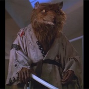 Splinter