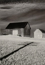 Celebrations: An Exhibition of Original (Black &amp; White) Photographs (Minor White)