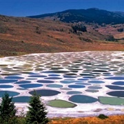 Spotted Lake