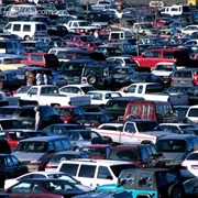 Crowded Stores and Parking Lots