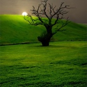 Campo Andaluz, Andalusian Countryside