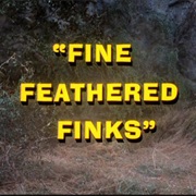 Fine Feathered Finks