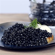 Beluga Caviar