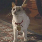 Kit ( Charmed)