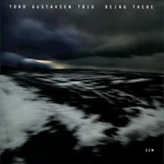 Tord Gustavsen Trio - Being There