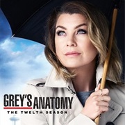 Grey&#39;s Anatomy Season 12