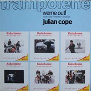 Trampolene (Warne Out Mix) - Julian Cope