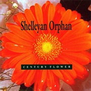 Shelleyan Orphan - Century Flower