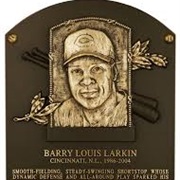 Barry Larkiin