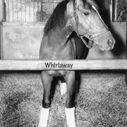 Whirlaway