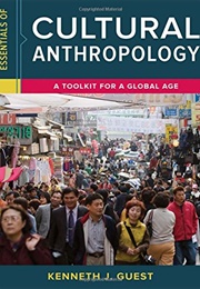 Essentials of Cultural Anthropology: A Toolkit for a Global Age (Kenneth J. Guest)