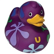 Purple Duckie