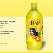 Halo Shampoo