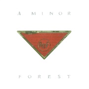 A Minor Forest - Inindependence