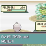 Pokemon Used Protect/Detect