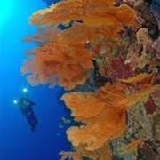 Perpendicular Wall, Christmas Island, Australia